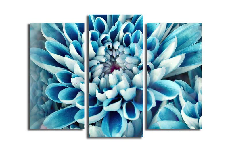 Koristeellinen Canvastaulu 3-os 45x20 cm - Monivärinen - Sisustustuotteet - Taulu & taide - Canvas-taulu