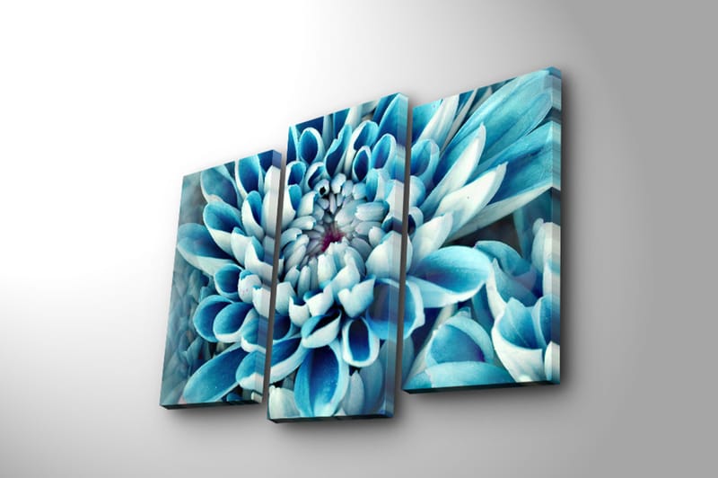 Koristeellinen Canvastaulu 3-os 45x20 cm - Monivärinen - Sisustustuotteet - Taulu & taide - Canvas-taulu