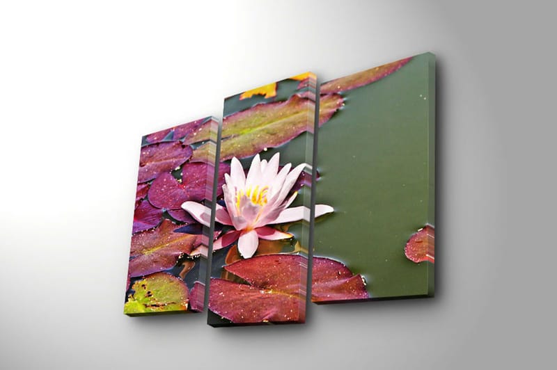 Koristeellinen Canvastaulu 3-os 45x20 cm - Monivärinen - Sisustustuotteet - Taulu & taide - Canvas-taulu