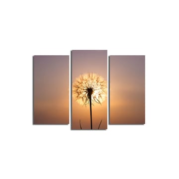 Koristeellinen Canvastaulu 3-os 45x20 cm - Monivärinen - Sisustustuotteet - Taulu & taide - Canvas-taulu