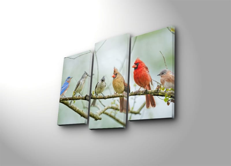 Koristeellinen Canvastaulu 3-os 45x20 cm - Monivärinen - Sisustustuotteet - Taulu & taide - Canvas-taulu