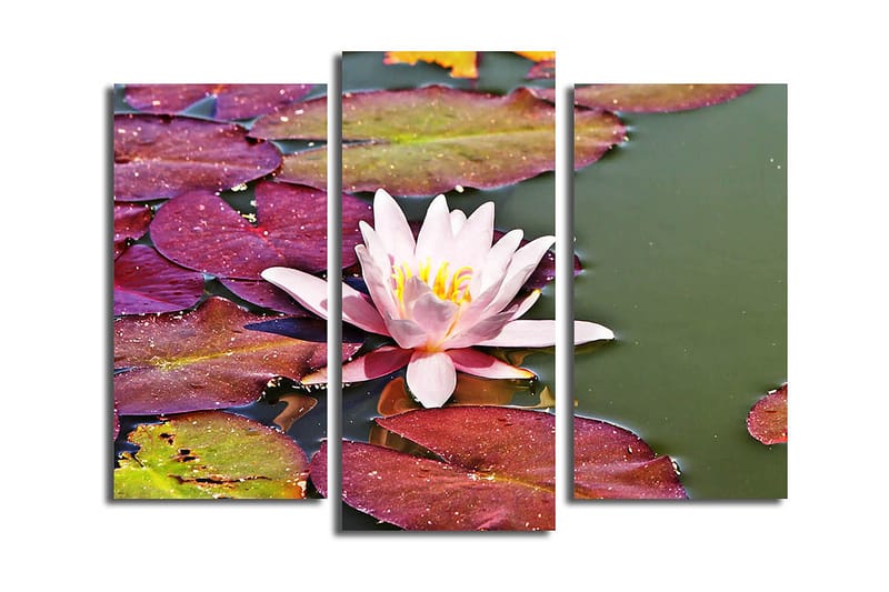 Koristeellinen Canvastaulu 3-os 45x20 cm, Monivärinen