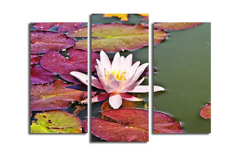 Koristeellinen Canvastaulu 3-os 45x20 cm, Monivärinen