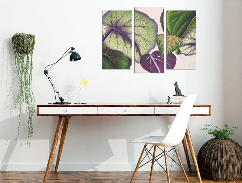 Koristeellinen Canvastaulu 3-os 45x20 cm, Monivärinen