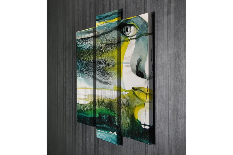 Koristeellinen Canvastaulu 3-os 45x20 cm - Monivärinen - Sisustustuotteet - Taulu & taide - Canvas-taulu