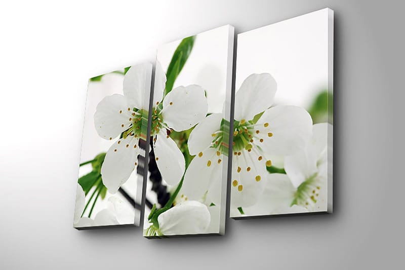 Koristeellinen Canvastaulu 3-os 45x20 cm - Monivärinen - Sisustustuotteet - Taulu & taide - Canvas-taulu