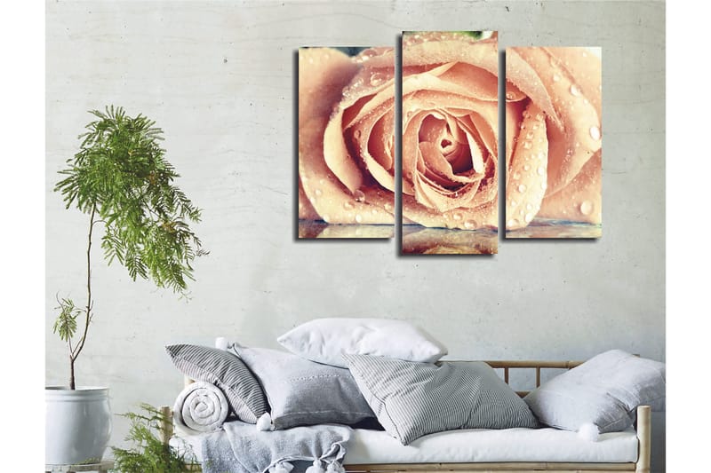 Koristeellinen Canvastaulu 3-os 45x20 cm, Monivärinen