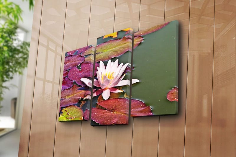 Koristeellinen Canvastaulu 3-os 45x20 cm - Monivärinen - Sisustustuotteet - Taulu & taide - Canvas-taulu