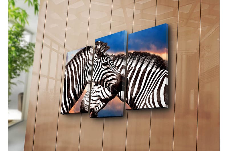 Koristeellinen Canvastaulu 3-os 45x20 cm - Monivärinen - Sisustustuotteet - Taulu & taide - Canvas-taulu