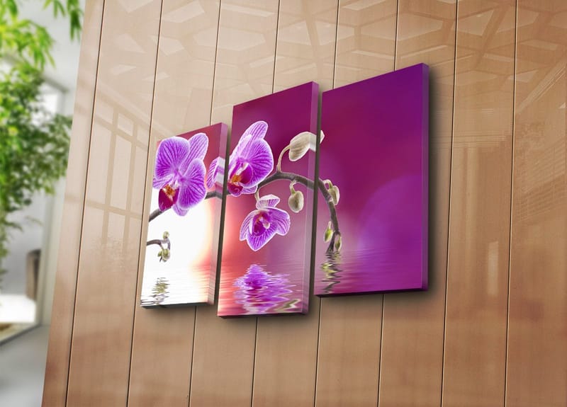 Koristeellinen Canvastaulu 3-os 45x20 cm - Monivärinen - Sisustustuotteet - Taulu & taide - Canvas-taulu