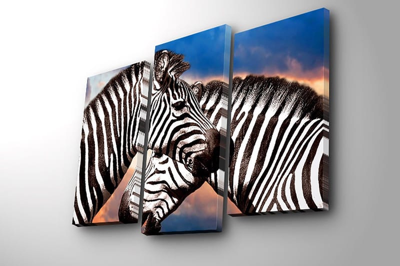 Koristeellinen Canvastaulu 3-os 45x20 cm - Monivärinen - Sisustustuotteet - Taulu & taide - Canvas-taulu