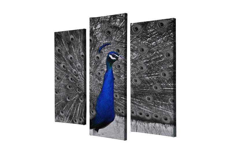 Koristeellinen Canvastaulu 3-os 45x20 cm, Monivärinen