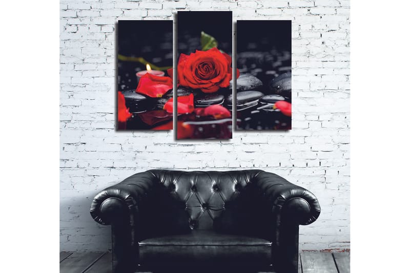 Koristeellinen Canvastaulu 3-os 45x20 cm, Monivärinen