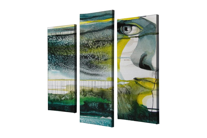 Koristeellinen Canvastaulu 3-os 45x20 cm - Monivärinen - Sisustustuotteet - Taulu & taide - Canvas-taulu