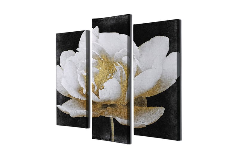 Koristeellinen Canvastaulu 3-os 45x20 cm, Monivärinen