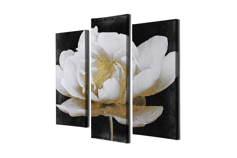 Koristeellinen Canvastaulu 3-os 45x20 cm, Monivärinen