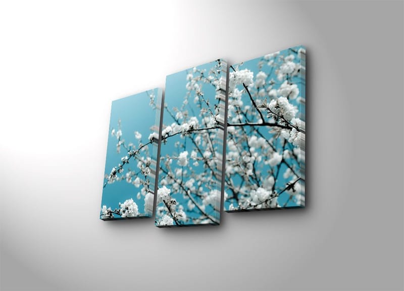 Koristeellinen Canvastaulu 3-os 45x20 cm, Monivärinen