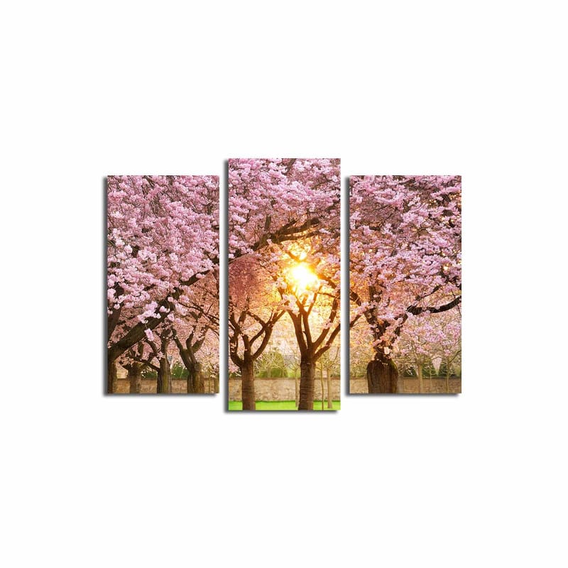 Koristeellinen Canvastaulu 3-os 45x20 cm - Monivärinen - Sisustustuotteet - Taulu & taide - Canvas-taulu