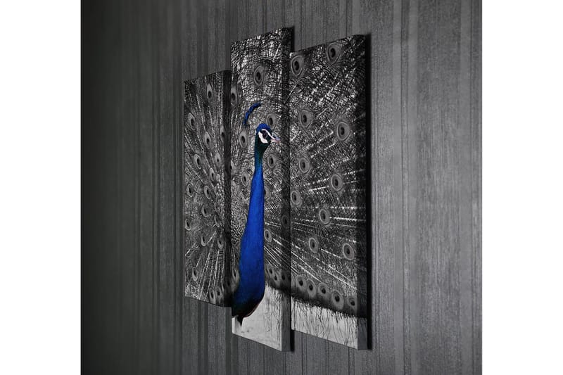 Koristeellinen Canvastaulu 3-os 45x20 cm - Monivärinen - Sisustustuotteet - Taulu & taide - Canvas-taulu