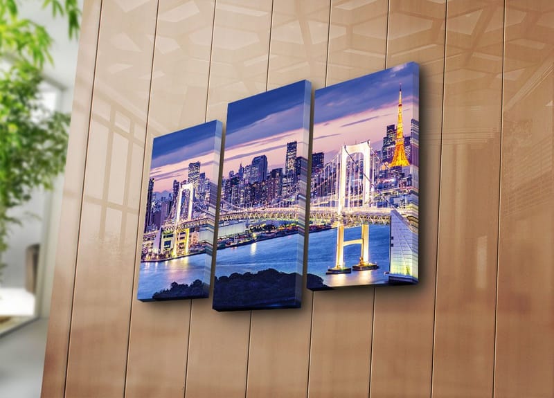 Koristeellinen Canvastaulu 3-os 45x20 cm - Monivärinen - Sisustustuotteet - Taulu & taide - Canvas-taulu