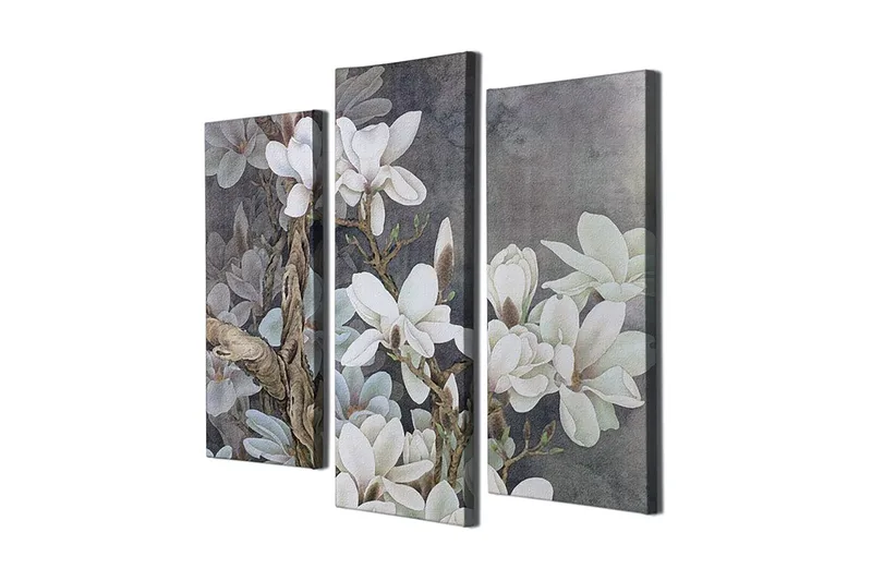 Koristeellinen Canvastaulu 3-os 45x20 cm, Monivärinen