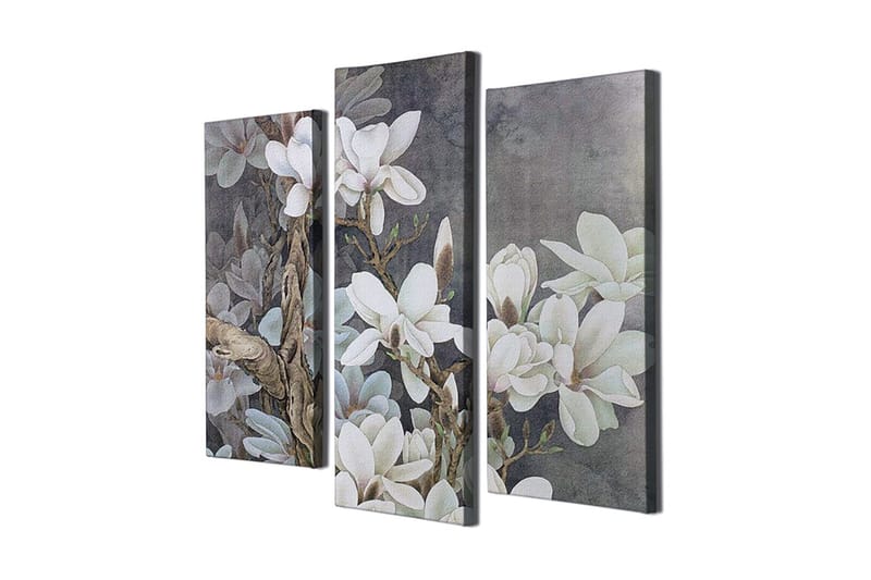 Koristeellinen Canvastaulu 3-os 45x20 cm, Monivärinen