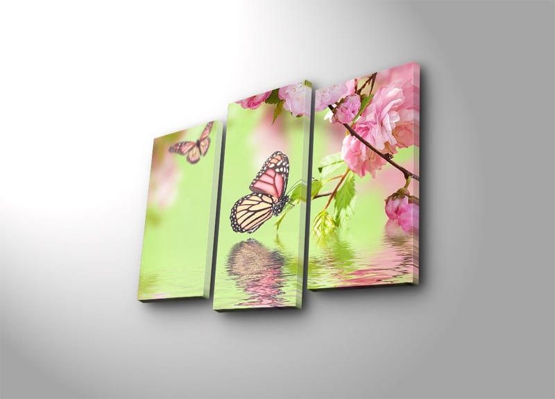 Koristeellinen Canvastaulu 3-os 45x20 cm, Monivärinen