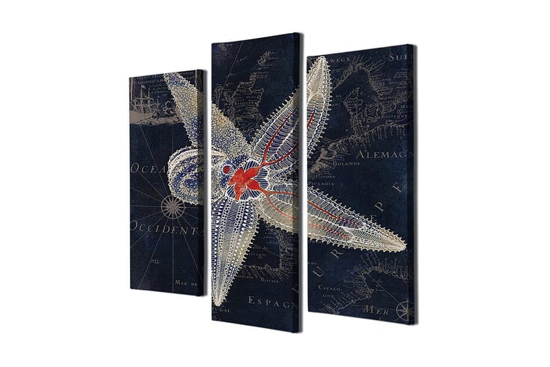 Koristeellinen Canvastaulu 3-os 45x20 cm, Monivärinen