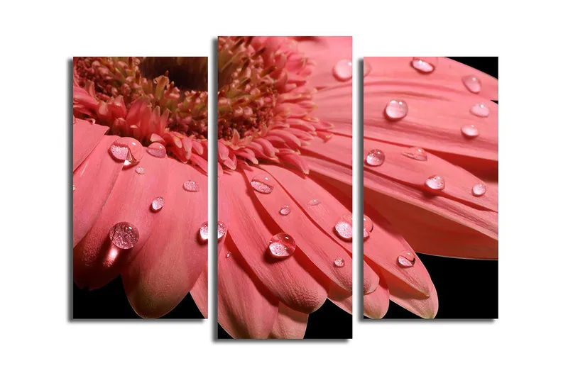 Koristeellinen Canvastaulu 3-os 45x20 cm, Monivärinen