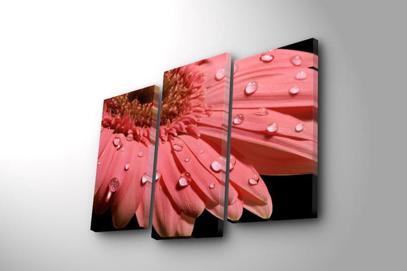 Koristeellinen Canvastaulu 3-os 45x20 cm - Monivärinen - Sisustustuotteet - Taulu & taide - Canvas-taulu