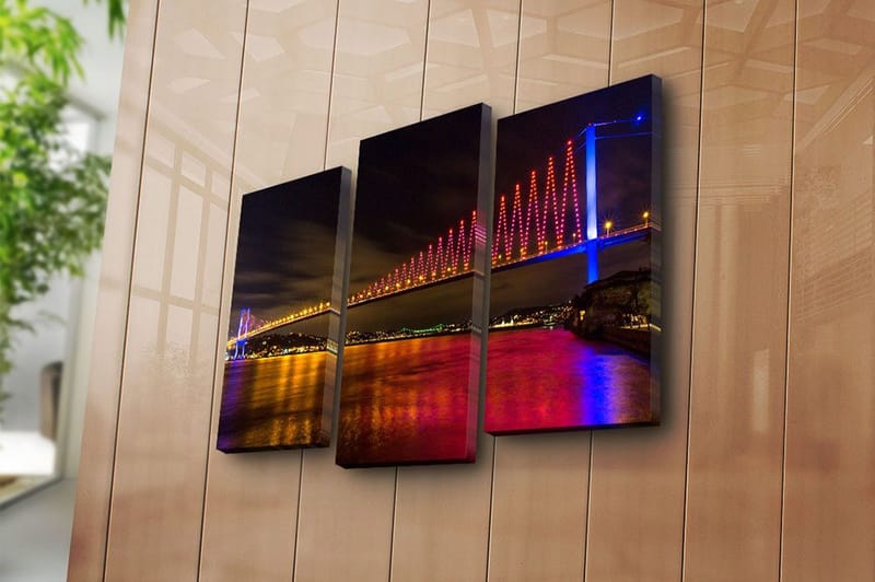 Koristeellinen Canvastaulu 3-os 45x20 cm - Monivärinen - Sisustustuotteet - Taulu & taide - Canvas-taulu