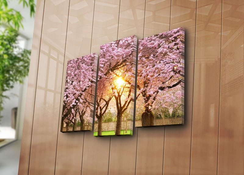 Koristeellinen Canvastaulu 3-os 45x20 cm - Monivärinen - Sisustustuotteet - Taulu & taide - Canvas-taulu