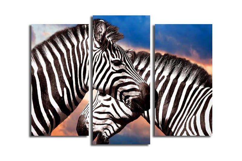 Koristeellinen Canvastaulu 3-os 45x20 cm, Monivärinen