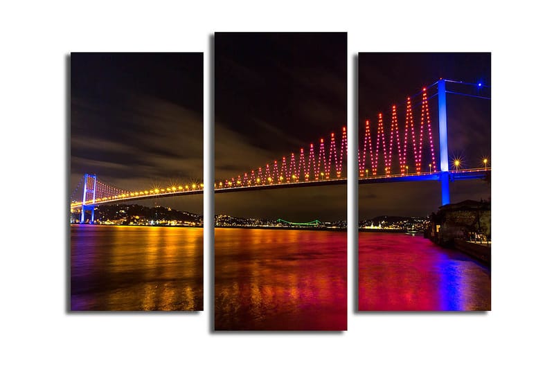 Koristeellinen Canvastaulu 3-os 45x20 cm, Monivärinen