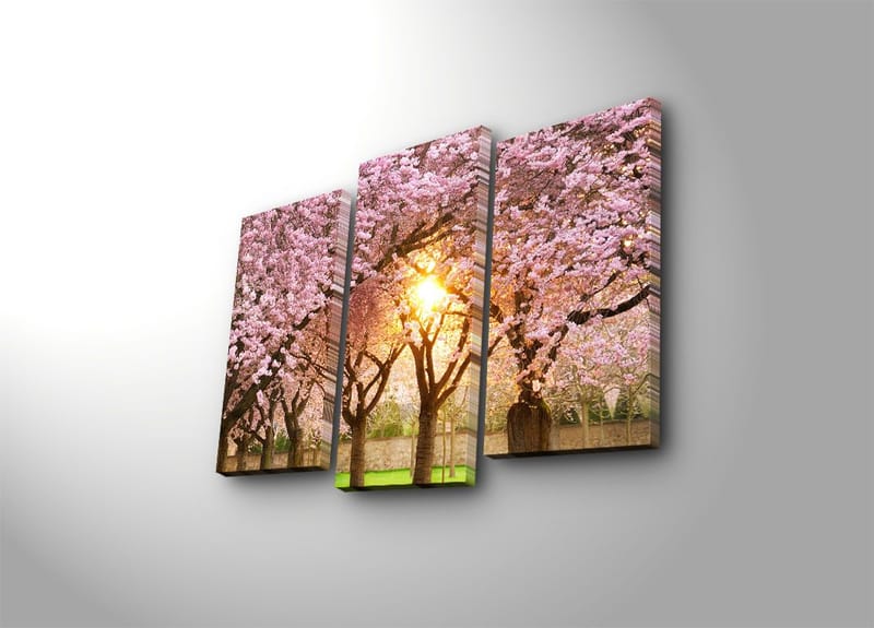 Koristeellinen Canvastaulu 3-os 45x20 cm, Monivärinen