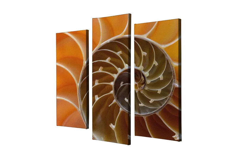 Koristeellinen Canvastaulu 3-os 45x20 cm, Monivärinen