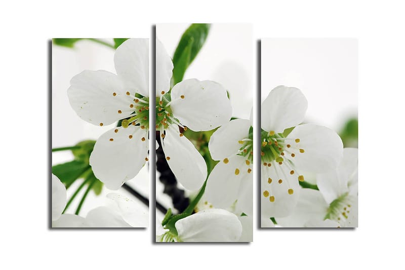 Koristeellinen Canvastaulu 3-os 45x20 cm, Monivärinen