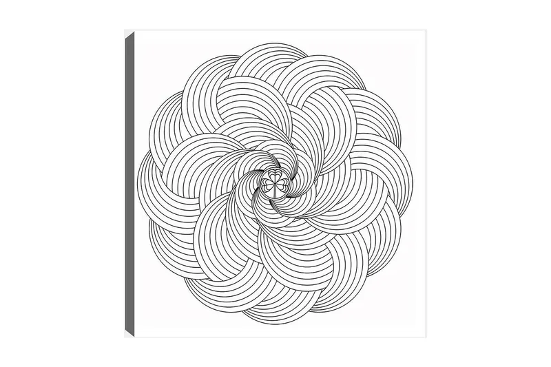 Koristeellinen Canvastaulu 30x30 cm, Valkoinen/Musta