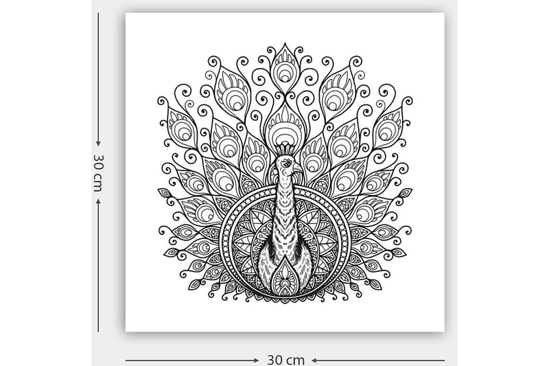 Koristeellinen Canvastaulu 30x30 cm - Valkoinen/Musta - Sisustustuotteet - Taulu & taide - Canvas-taulu