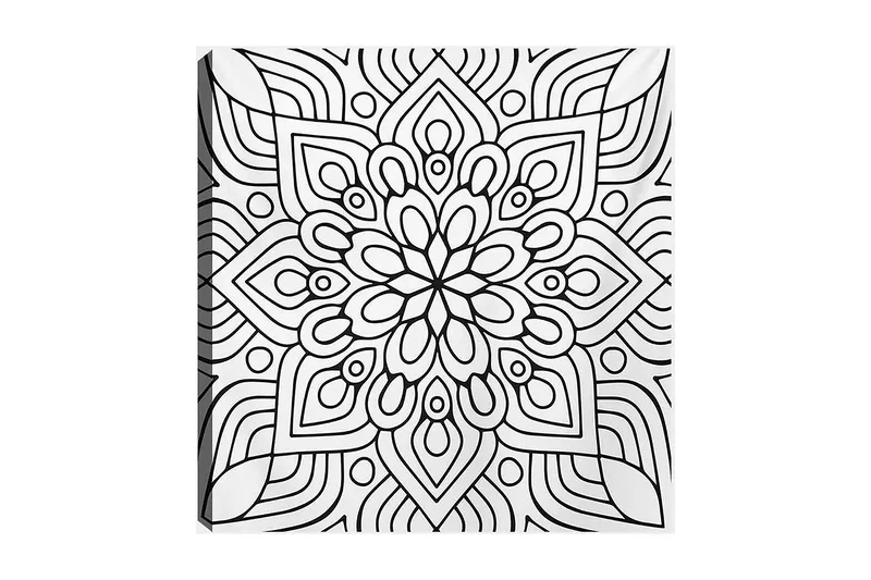 Koristeellinen Canvastaulu 30x30 cm, Valkoinen/Musta