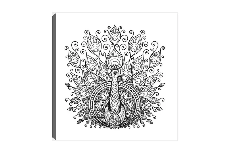 Koristeellinen Canvastaulu 30x30 cm, Valkoinen/Musta