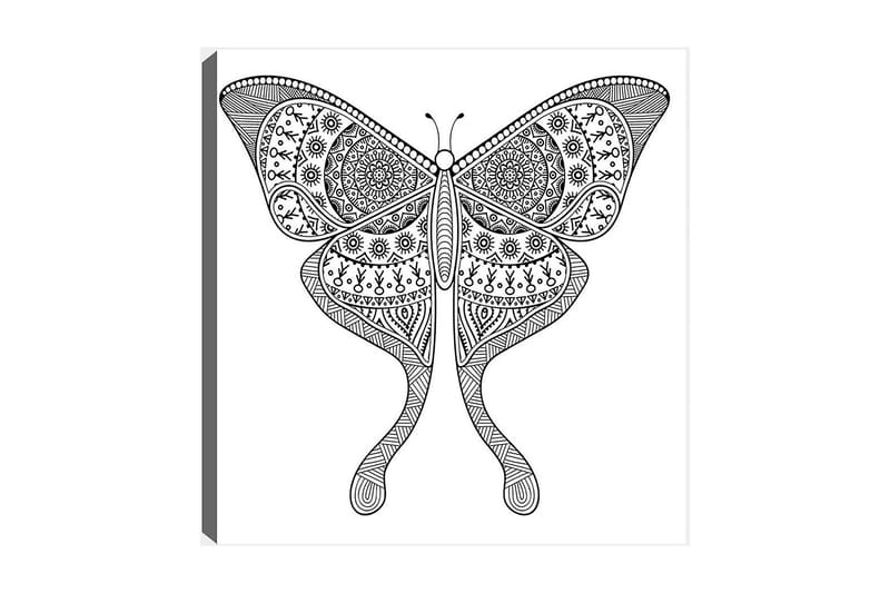 Koristeellinen Canvastaulu 30x30 cm, Valkoinen/Musta