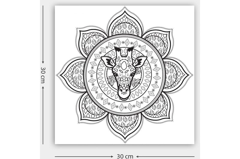 Koristeellinen Canvastaulu 30x30 cm - Valkoinen/Musta - Sisustustuotteet - Taulu & taide - Canvas-taulu