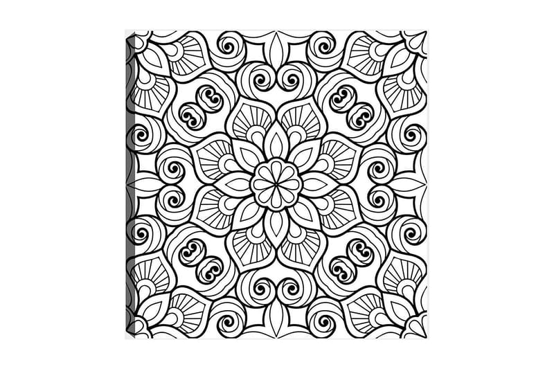 Koristeellinen Canvastaulu 30x30 cm, Valkoinen/Musta