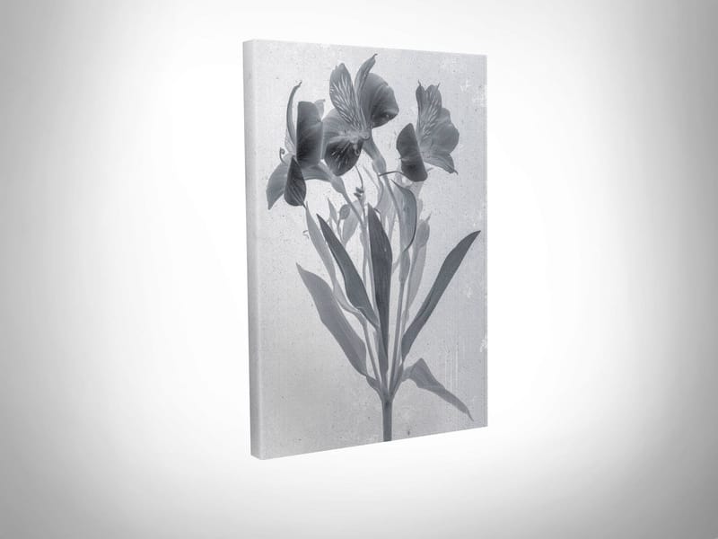 Koristeellinen Canvastaulu 30x40 cm - Monivärinen - Sisustustuotteet - Taulu & taide - Canvas-taulu