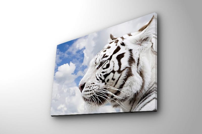 Koristeellinen Canvastaulu 30x40 cm - Monivärinen - Sisustustuotteet - Taulu & taide - Canvas-taulu