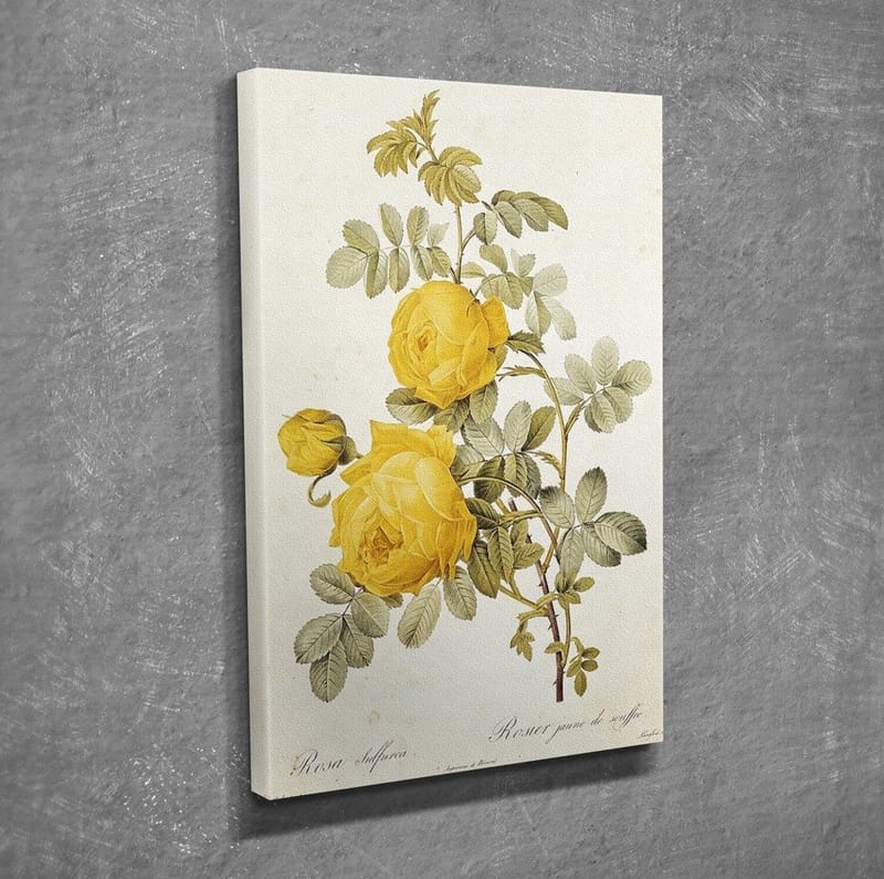 Koristeellinen Canvastaulu 30x40 cm - Monivärinen - Sisustustuotteet - Taulu & taide - Canvas-taulu