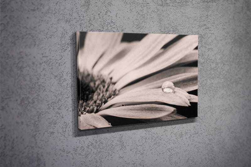 Koristeellinen Canvastaulu 30x40 cm - Monivärinen - Sisustustuotteet - Taulu & taide - Canvas-taulu
