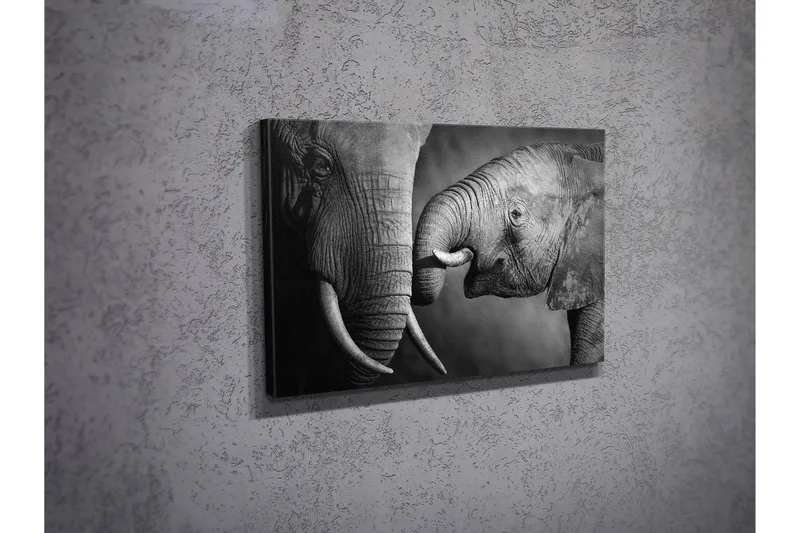 Koristeellinen Canvastaulu 30x40 cm - Monivärinen - Sisustustuotteet - Taulu & taide - Canvas-taulu