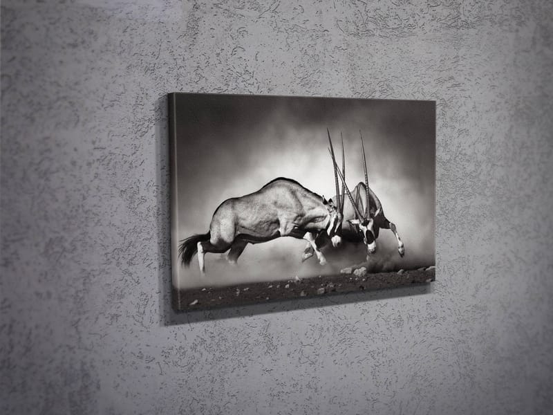 Koristeellinen Canvastaulu 30x40 cm - Monivärinen - Sisustustuotteet - Taulu & taide - Canvas-taulu